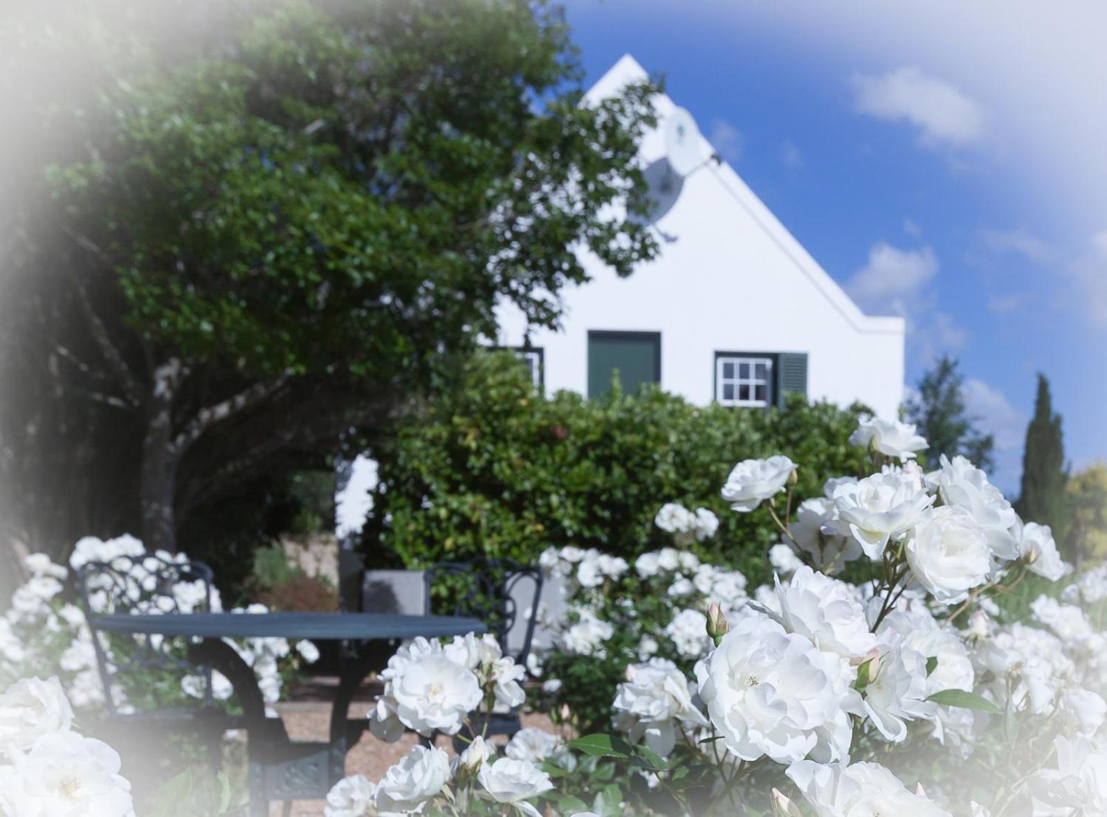 Sanddrif Guest Farm Stellenbosch Extérieur photo